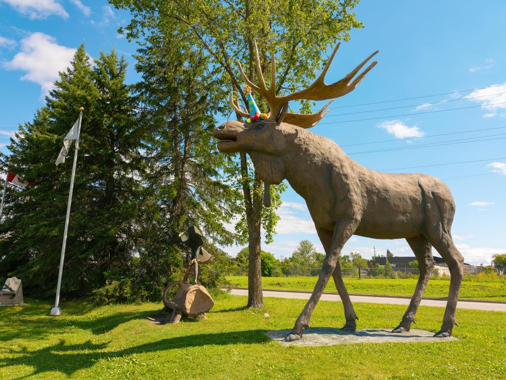 Wooden Max the Moose statue on a sunny day