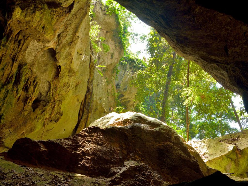 An opening in caves with forest views