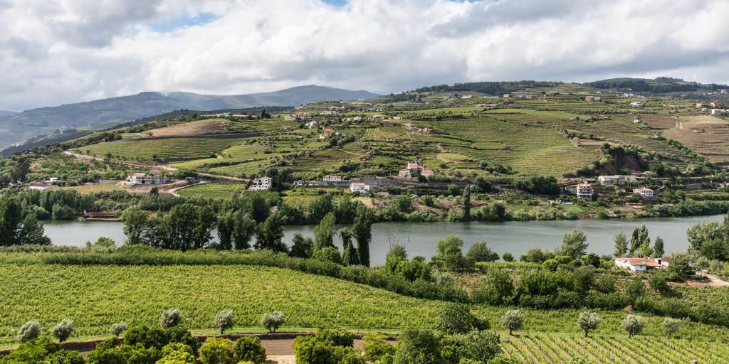 Green vineyards and hills along the river in the Douro Valley, Portugal