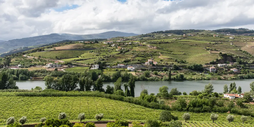 Green vineyards and hills along the river in the Douro Valley, Portugal