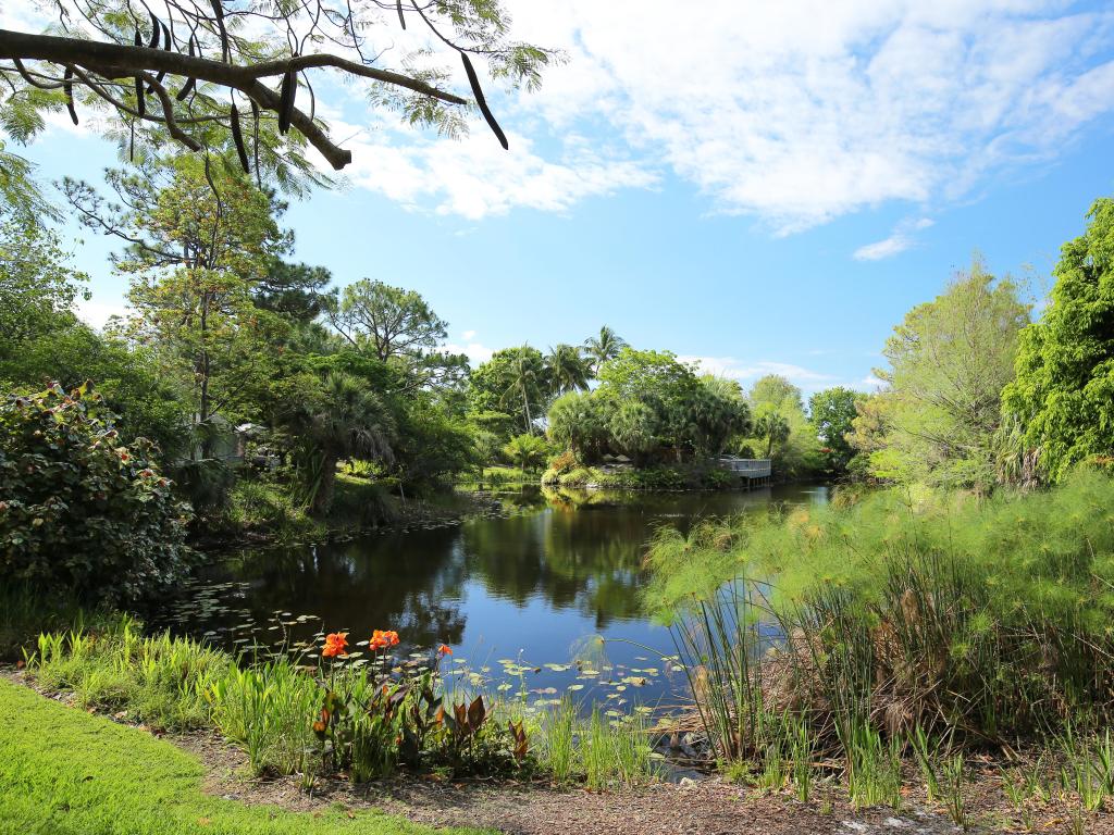 Mounts Botanical Gardens in Palm Beach, Florida, USA with wildflowers in the foreground, a lake in the distance surrounded by greenery and trees on a sunny day.