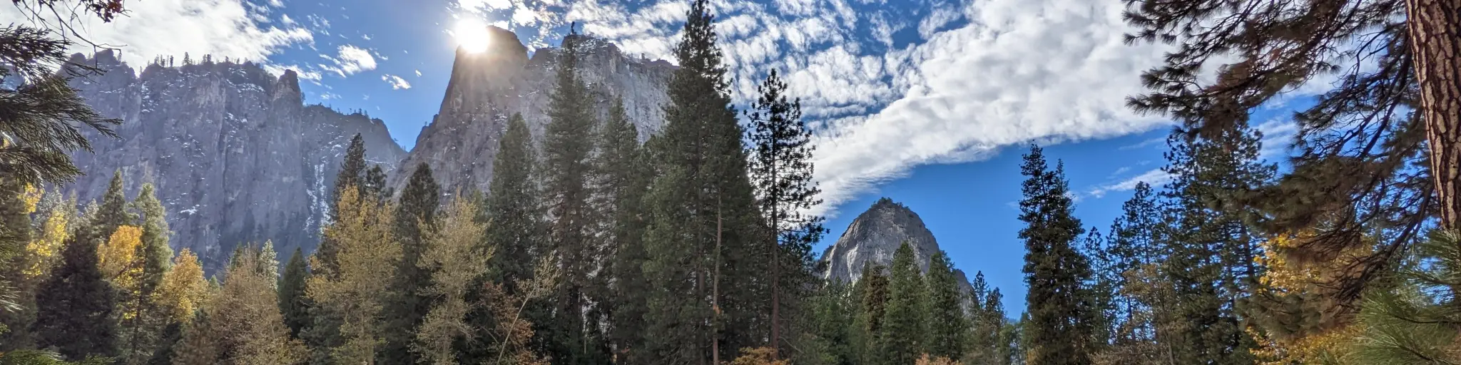Winter view of the trees and cliffs of Yosemite on a autumn day 