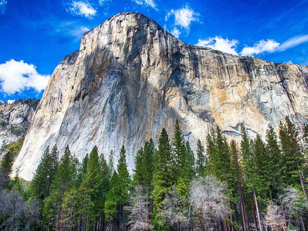 Towering image of El Capitan from below, taken on a sunny day in El Capitan Meadow