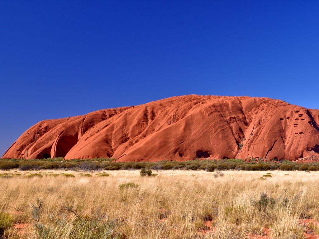 A view of Uluru from the Western End taken at 3.00 p.m. during winter. Showing typical vegetation in foreground.