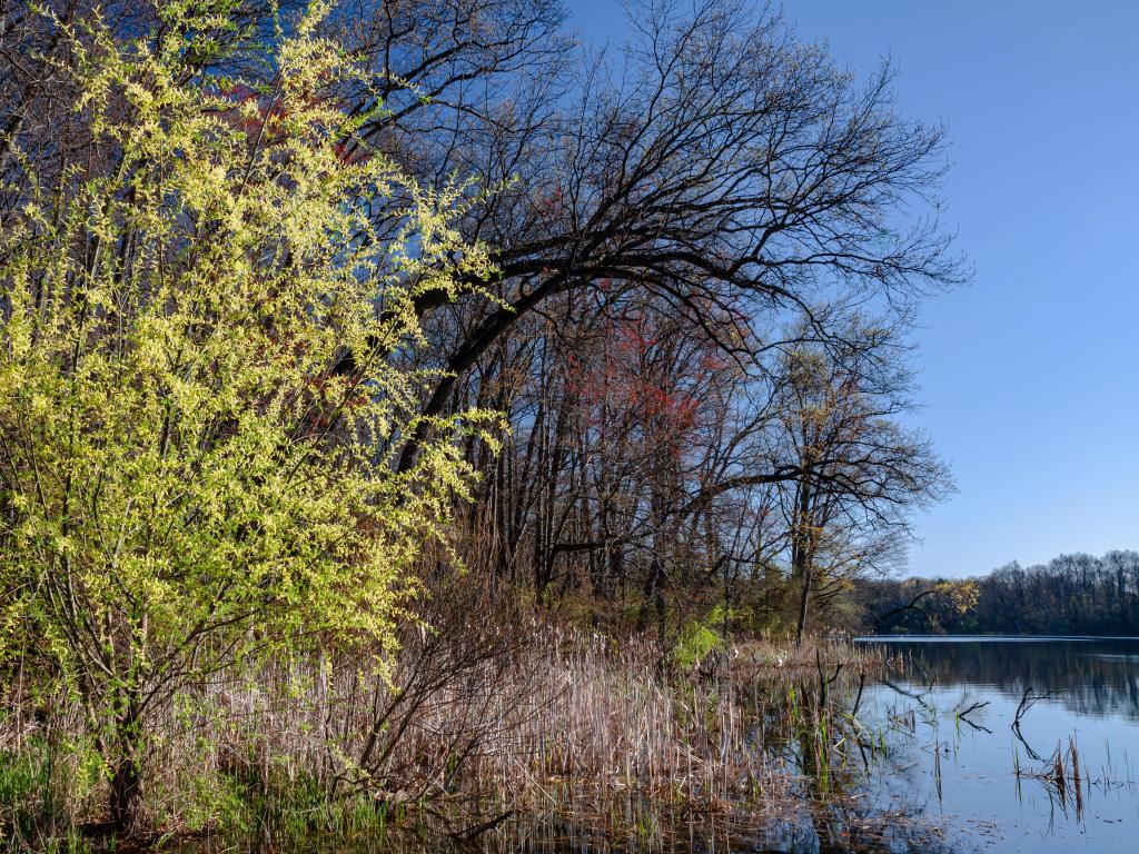 A pretty spring view of Crooked Lake, Waterloo State Recreation Area, Washtenaw County, Michigan