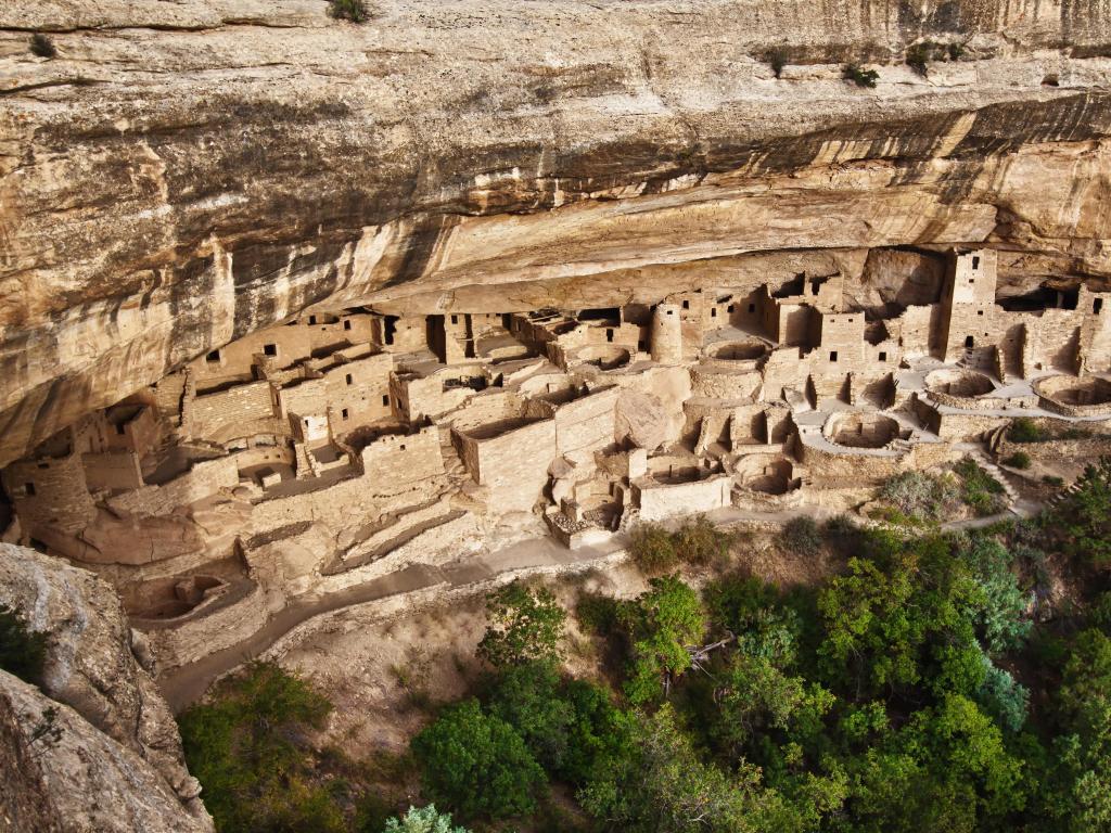 Mesa Verde National Park, Colorado, USA with a view of the Cliff Palace below, surrounded by cliffs and trees.