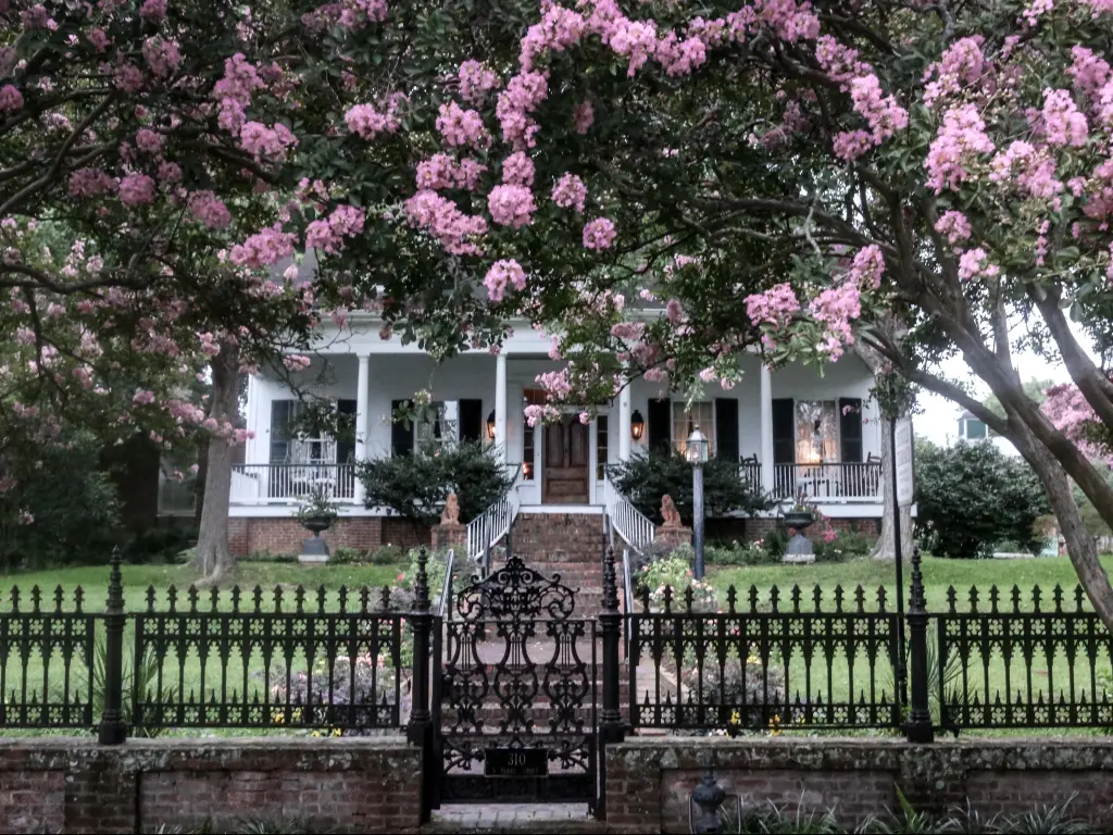 Historic Antebellum home with pink flowers and a wrought iron fence in Natchez, Mississippi
