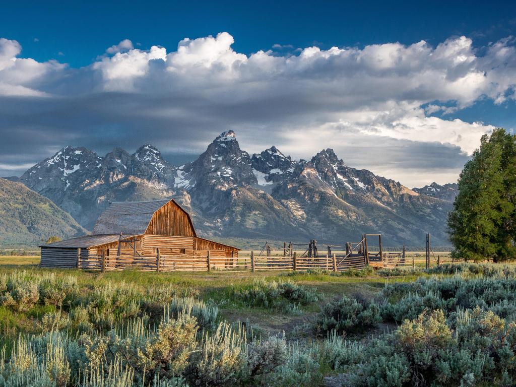 Grand Teton National Park, Wyoming, USA with grass and Mormon Row Barn in the foreground and the snow-capped mountains in the distance on a cloud and sunny day. 