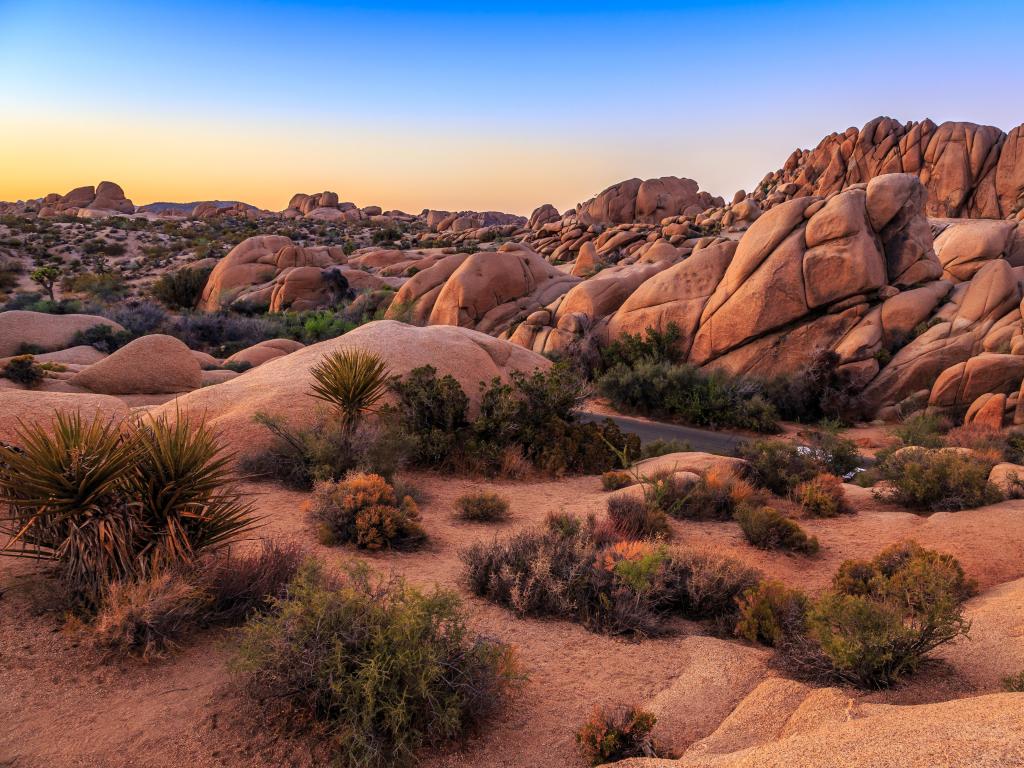 Sunset on the Jumbo Rocks, Joshua Tree National Park, California, USA.