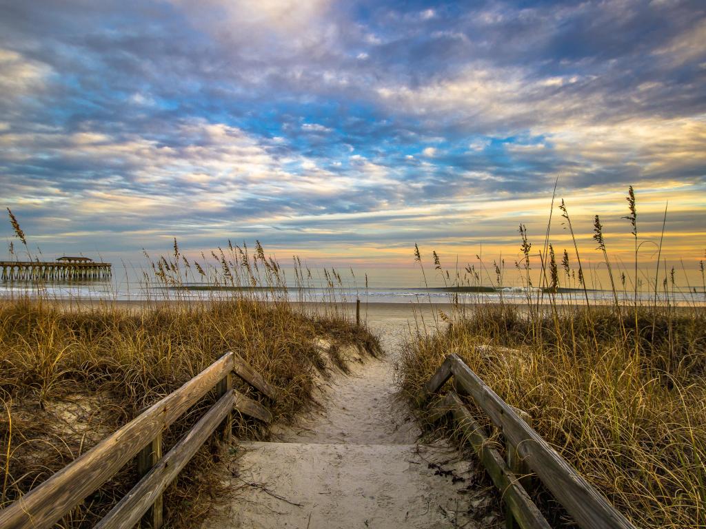 Myrtle Beach in winter at sunset, as seen through the grasses on the beach, with the pier in the distance