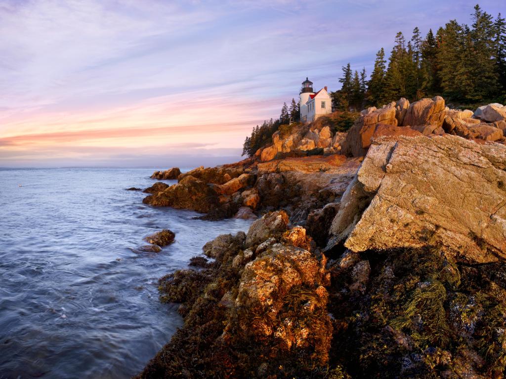 Acadia National Park, Maine, USA with a view of the Bass Harbor Head Light the morning with rocks in the foreground and trees in the background. 