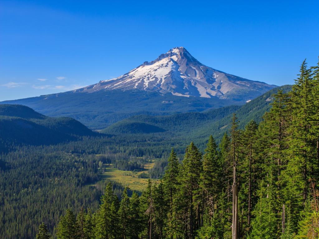Mt Hood National Forest, Oregon, USA with the mountain in the distance against a bright blue sky and trees in the foreground.