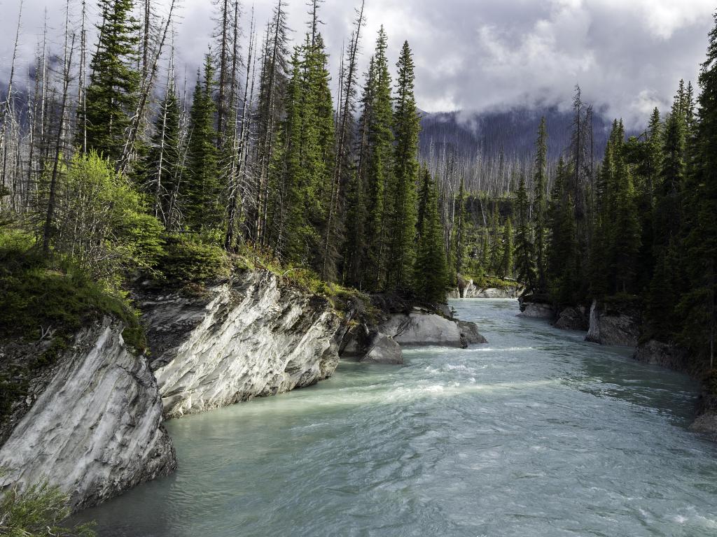 Kootenay National Park, British Columbia, Canada with a river running between trees and taken on a cloudy and misty day.