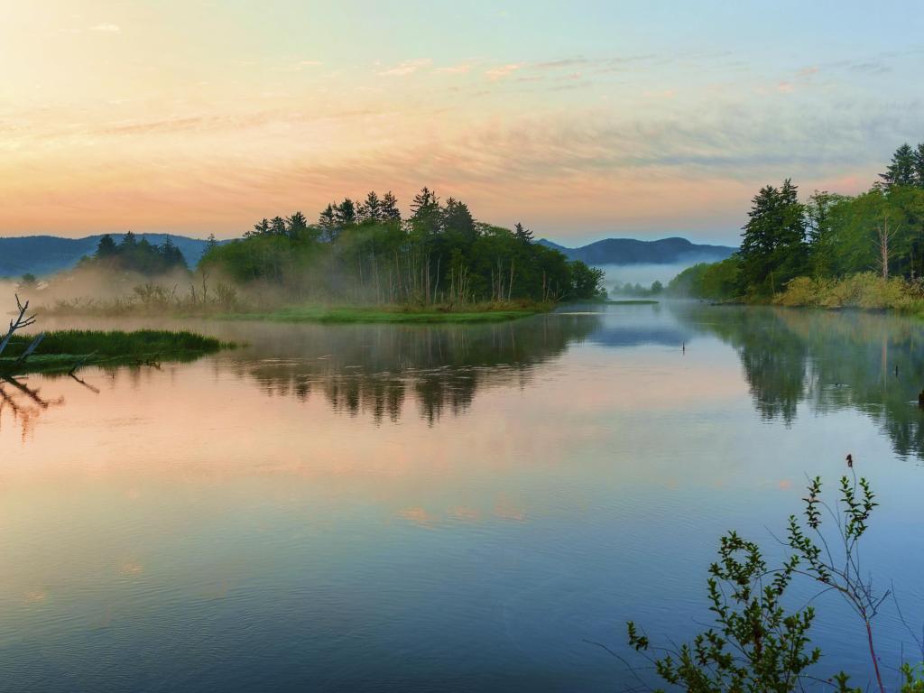 Pine trees reflected on still water with mist and mountains rising in the background