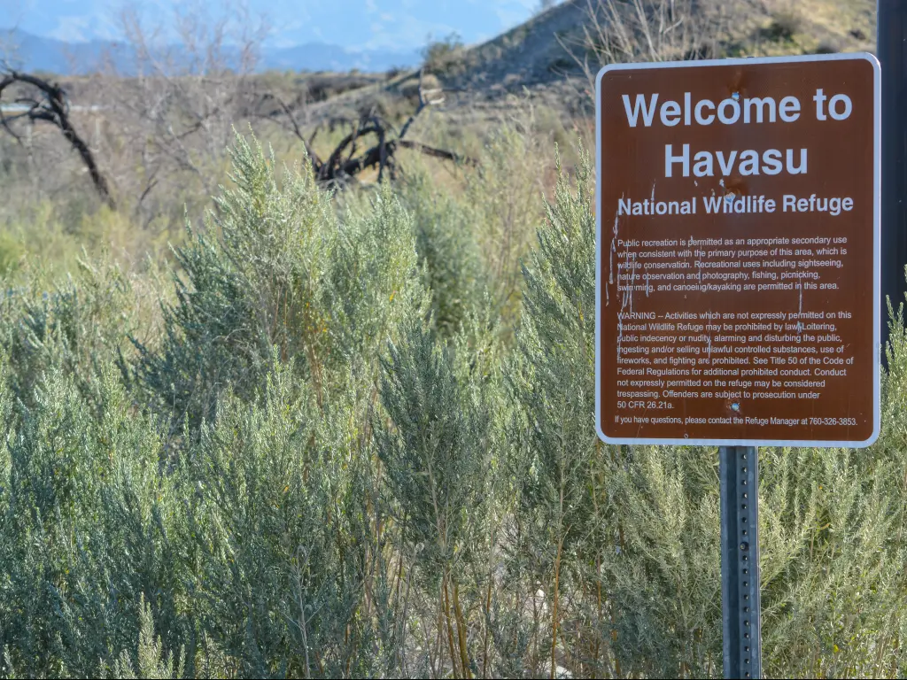 An image of Havasu National Wildlife Refuge sign with some green grasses on a bright day. 