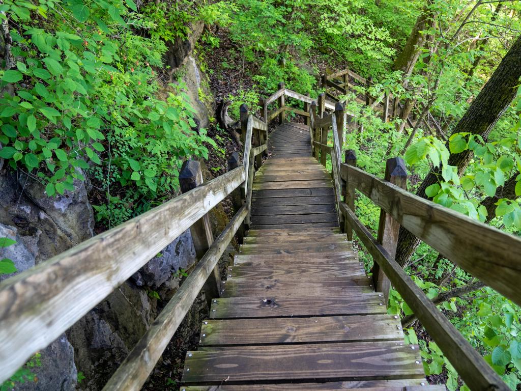 Steep wooden steps leading down into a forest - taken at Ha Ha Tonka State Park, MO, USA on the spring trail.