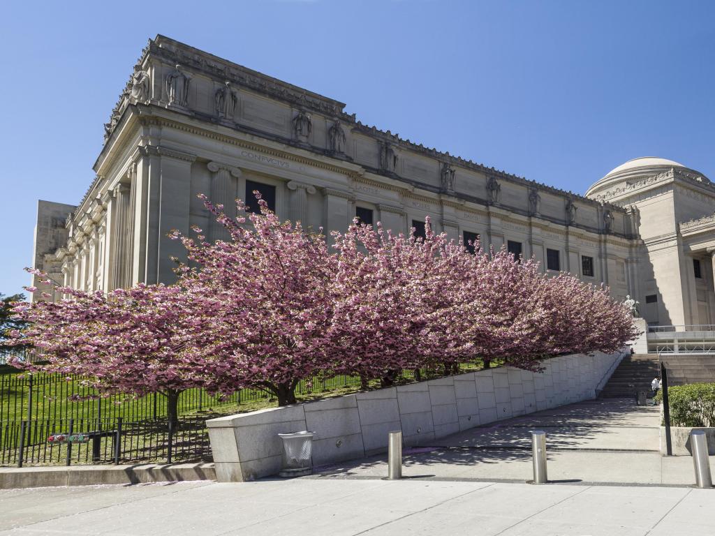 Exterior of the Brooklyn Museum with cherry trees in full bloom