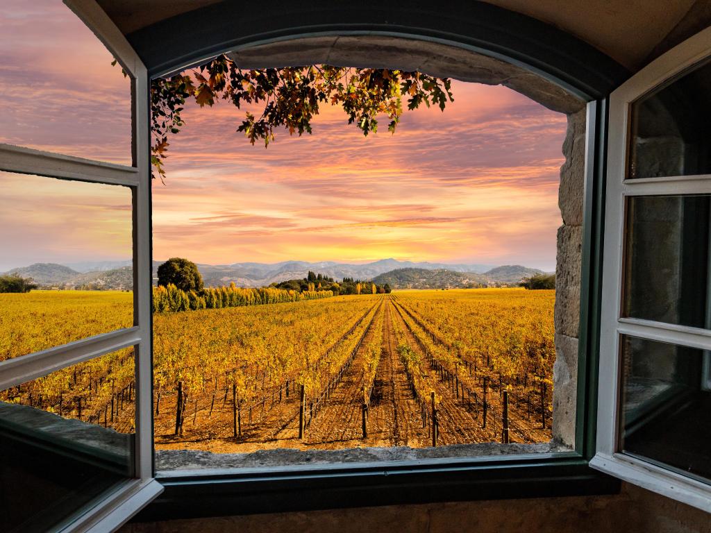 Napa Valley vineyards in autumn colors, sunrise sky view through a window
