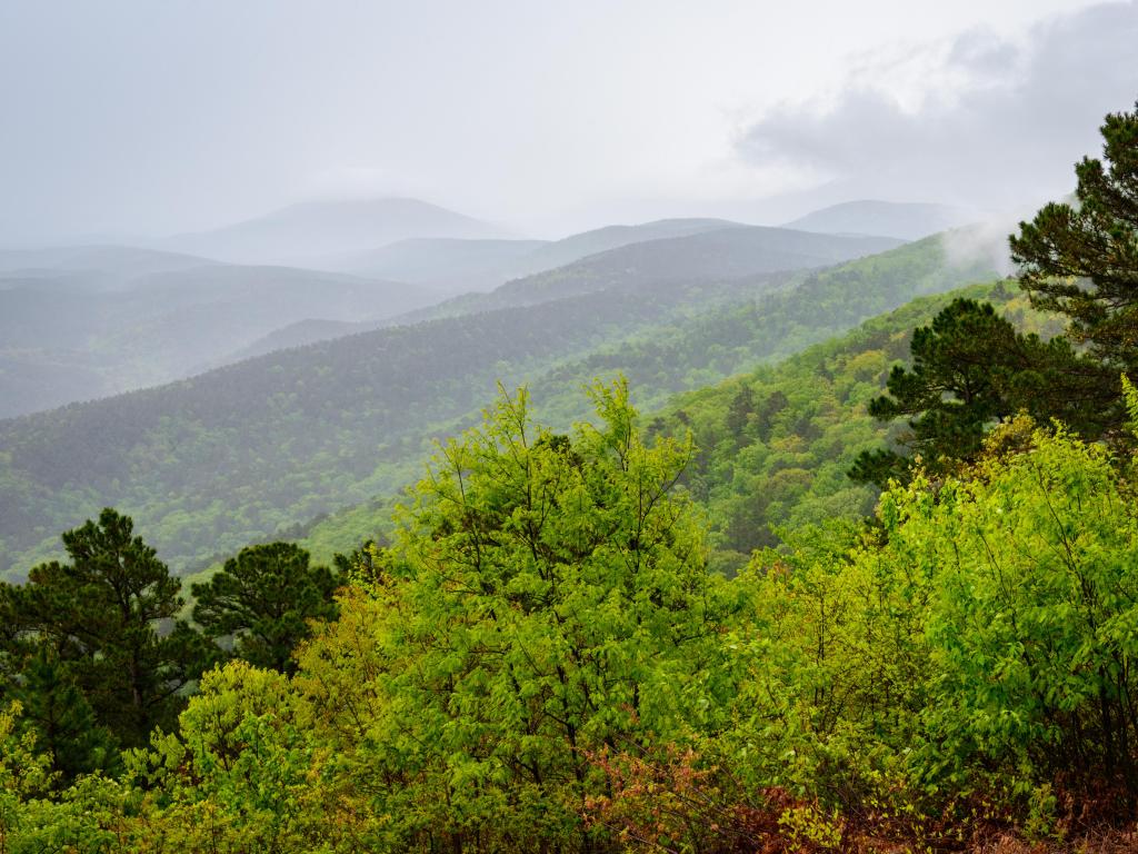 Ouachita National Forest, USA with green trees in the foreground and mountains in the background in mist.