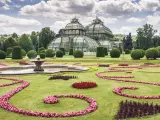 The ultimate weekend in Vienna at the Palmenhaus park