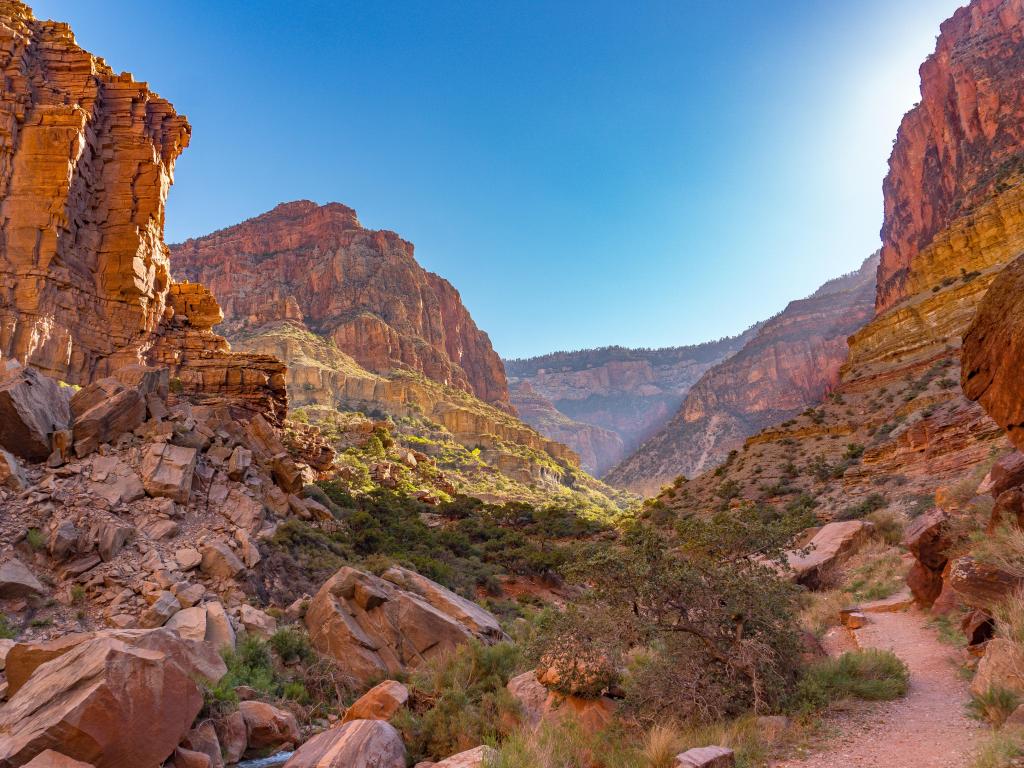 First Light at the Bottom of the Grand Canyon National Park, Arizona, USA.