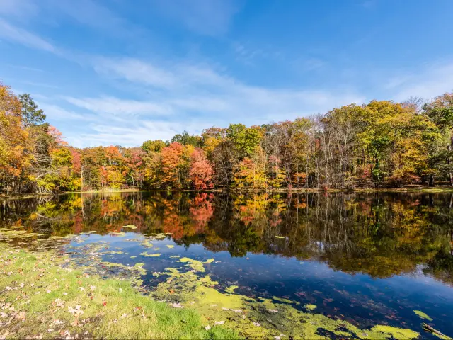 Fall colors on a pond in the Poconos Mountains in Pennsylvania