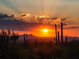 Sunset outside Tucson, Arizona, with mountains and tall cactus silhouetted by bright sun in orange sky