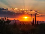 Sunset outside Tucson, Arizona, with mountains and tall cactus silhouetted by bright sun in orange sky