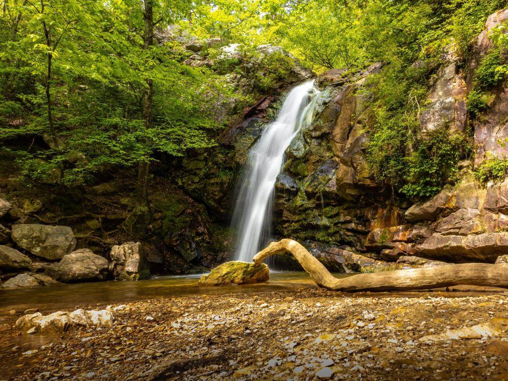 Oak Mountain State Park, Alabama, USA with a mesmerizing view of the Peavine Falls, rocky terrain and a fallen tree, taken on a sunny day with green foliage beside the waterfall. 