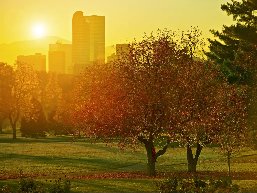 A park in Denver in the fall with golden leaves and a beautiful sunset