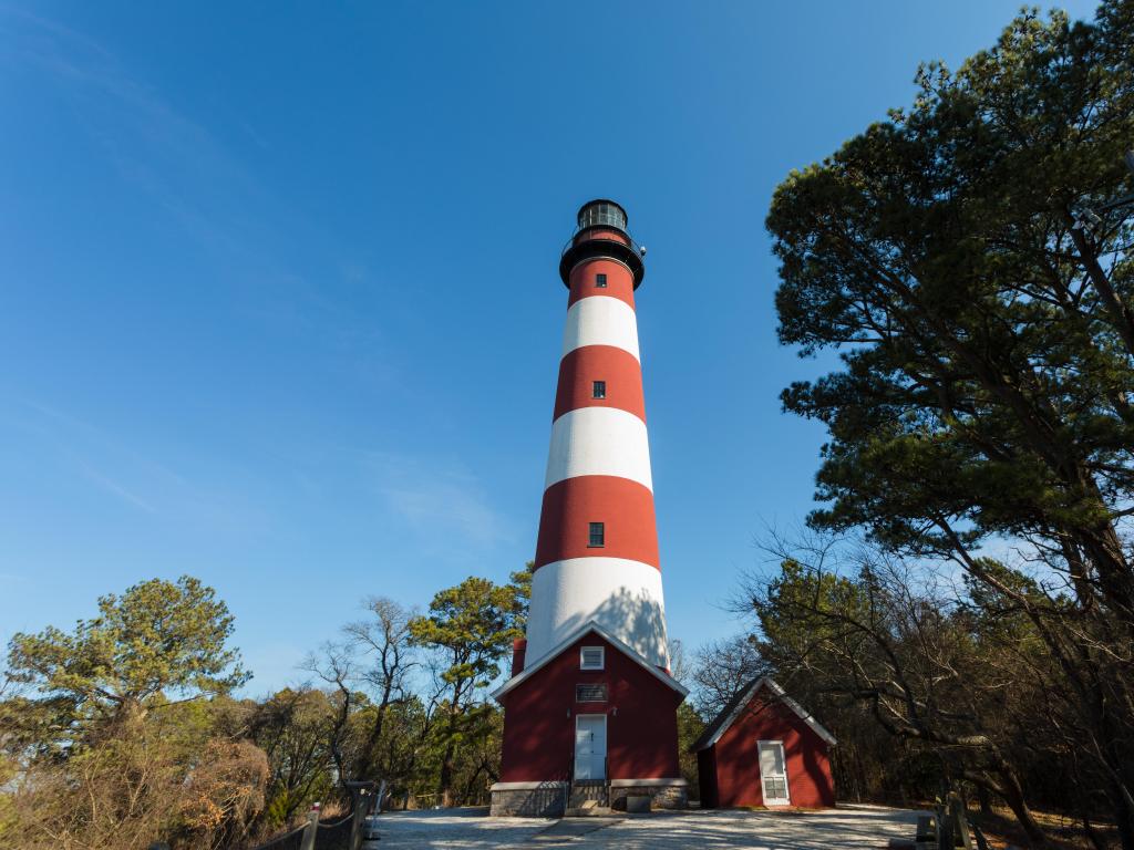 Assateague Light House, Assateague Island, USA on a sunny day with blue sky and the red and white lighthouse in the centre of the photo.