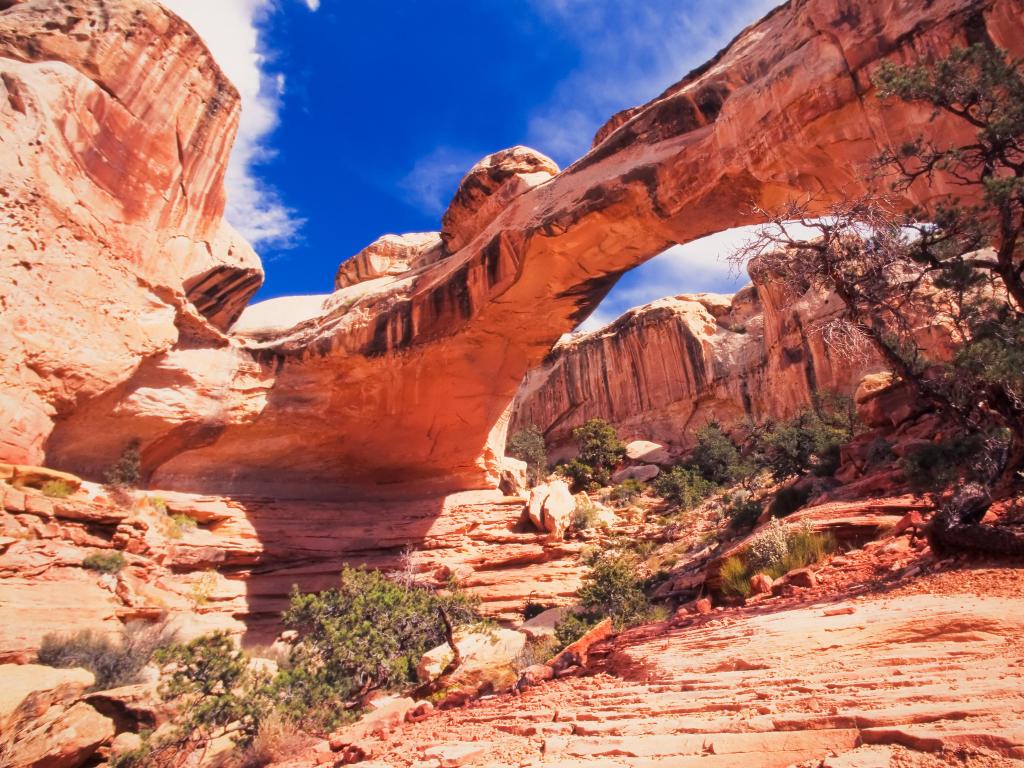 Close up of red rock natural stone arches of Hickman Bridge, stepping across the canyons at Capitol Reef National Park