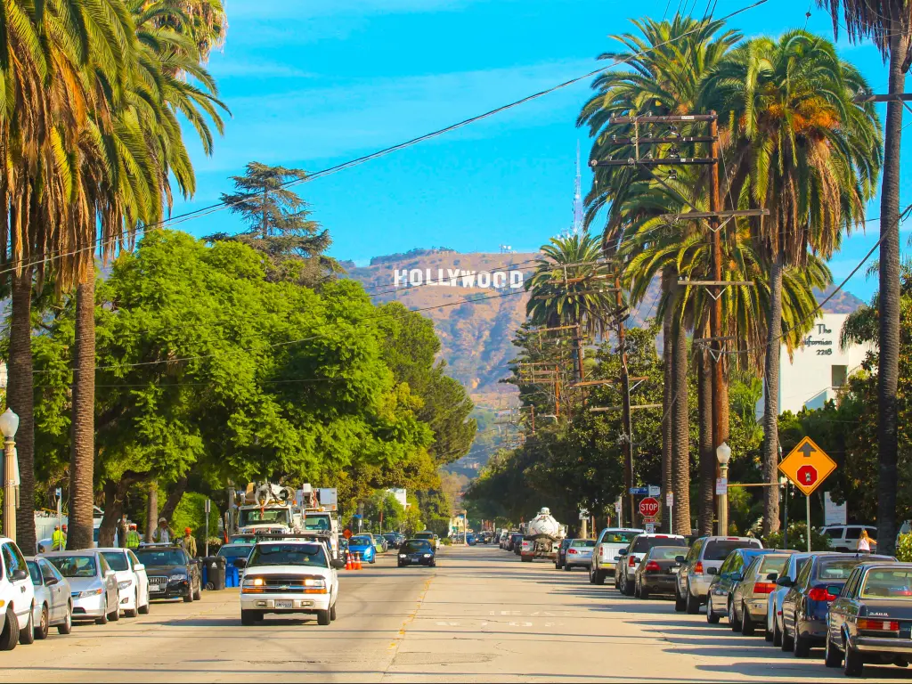 Hollywood sign located in the mountains in between large palm trees