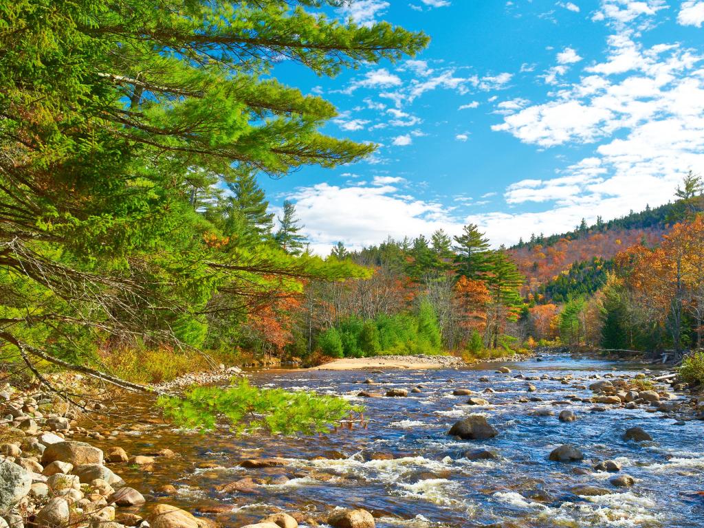 White Mountain National Forest, New Hampshire, USA with the Swift River at fall, with rocks and trees surrounding the river taken on a sunny day.