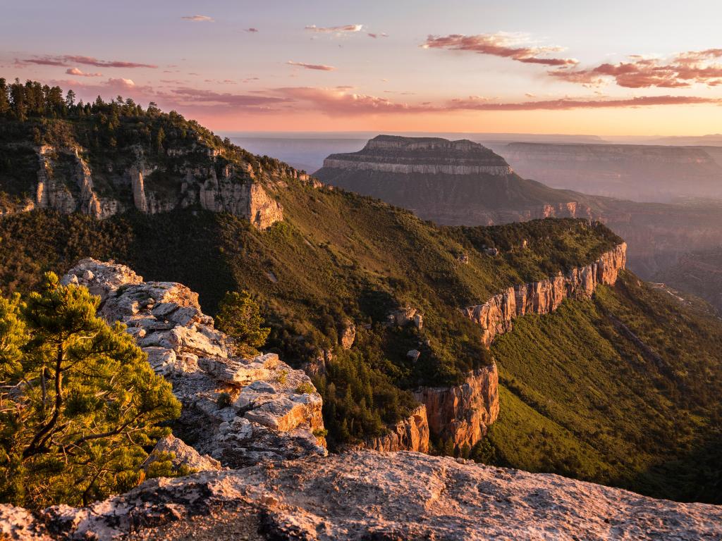 Sunset View of the Grand Canyon North Rim from Locust Point on the edge of the Kaibab Plateau from the North Rim.