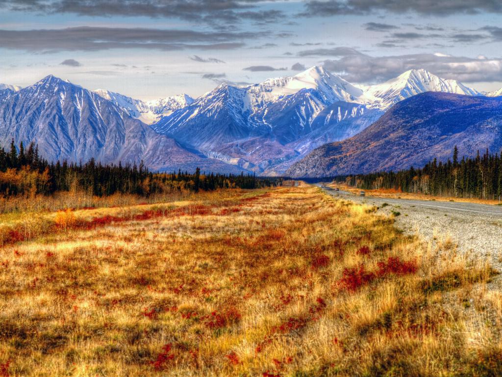 Whitehorse to Haines Junction, Yukon Territories, Canada with yellow and orange grass in the foreground and a road leading to the scenic snow-capped mountains in the distance. 