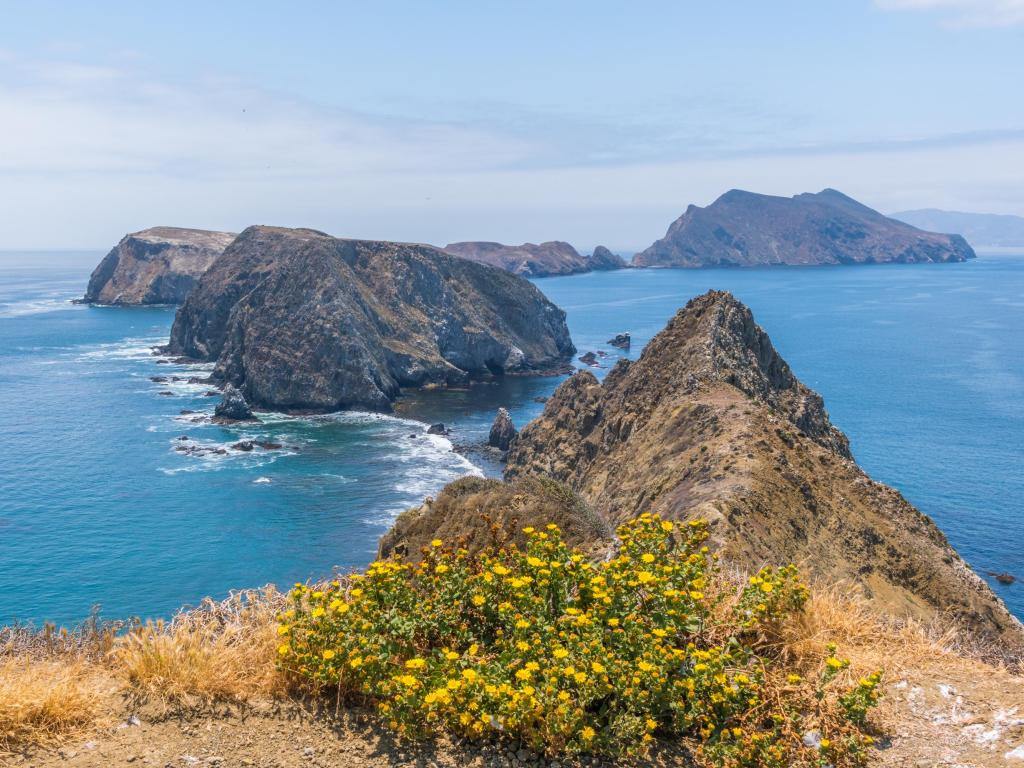 Amazing view from Inspiration point, California.