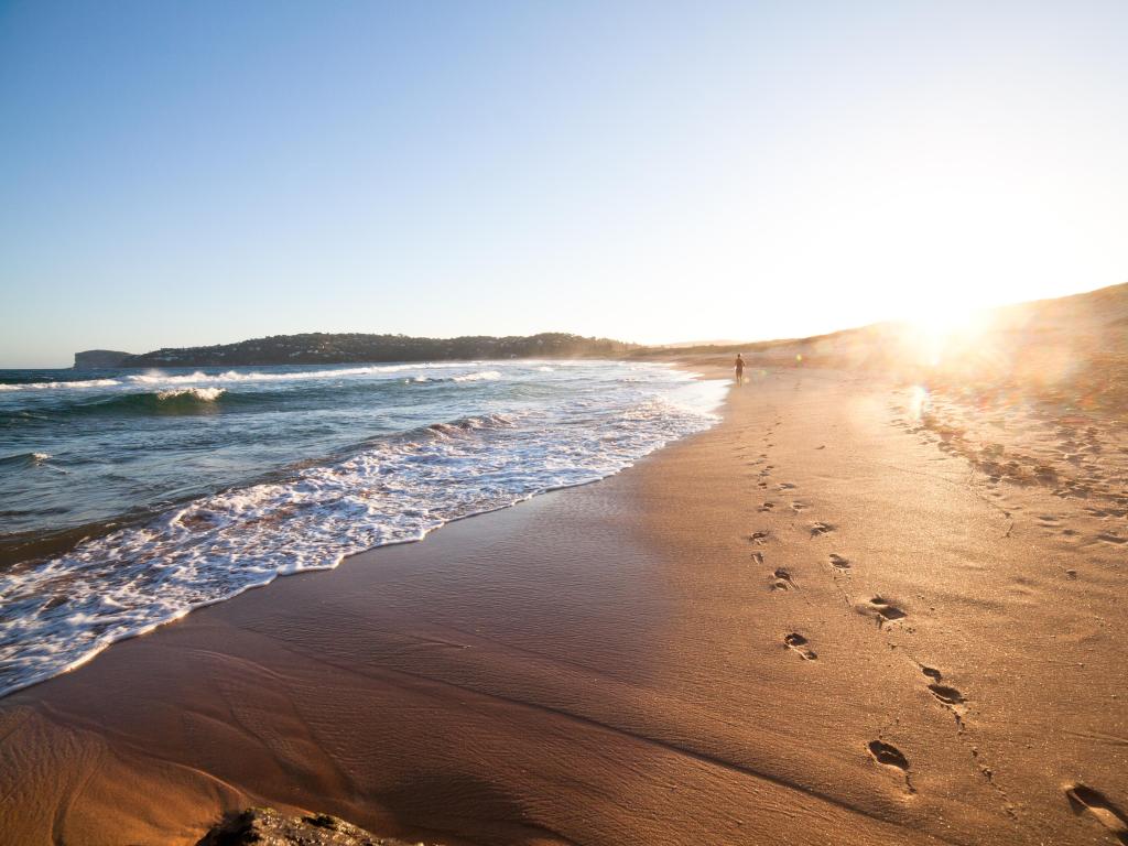 Palm beach in New South Wales, Australia at sunset with a figure walking beside the sea and into the distance leaving footprints in the sand. 