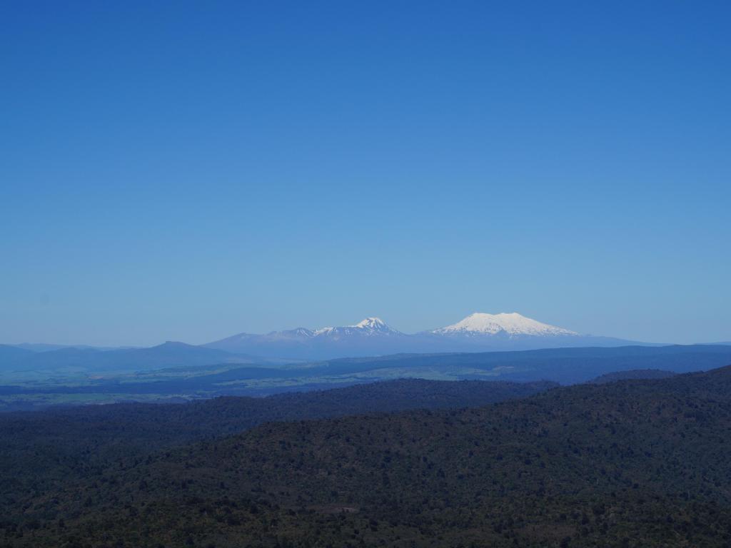 View of Mount Tongariro and Mount Ngauruhoe from Pureora Forest Park