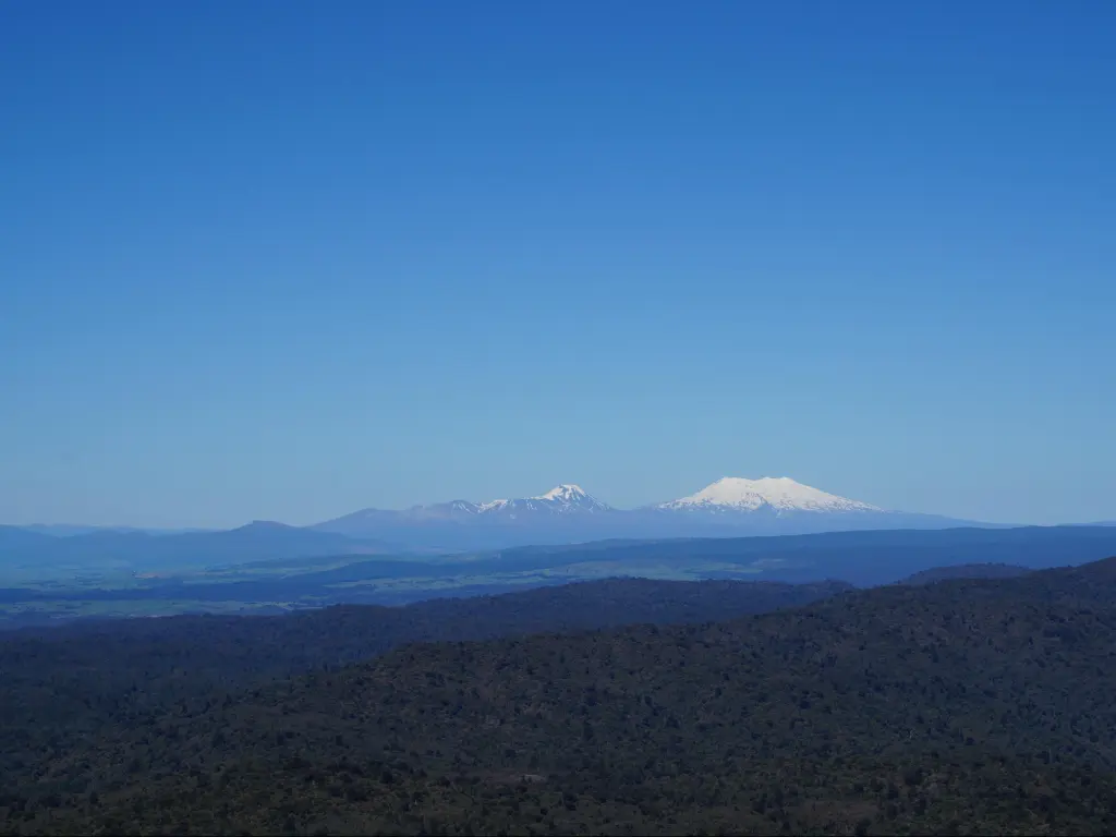 View of Mount Tongariro and Mount Ngauruhoe from Pureora Forest Park