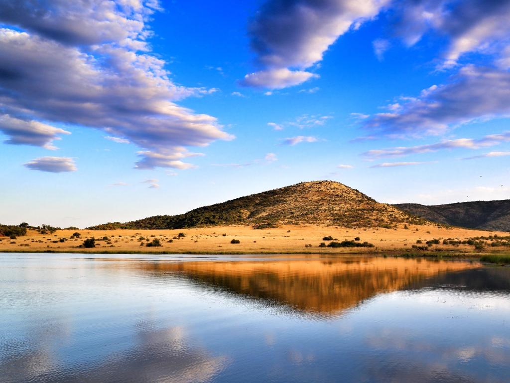 Reflection in Pilanesberg National Park - South Africa
