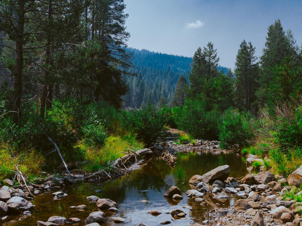 Tahoe National Forest, Lake Tahoe, California, USA with mountain reflections in a creek, river and colorful foliage all around.