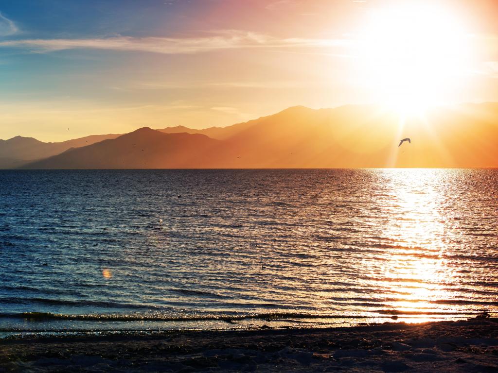 Salton sea at sunset 