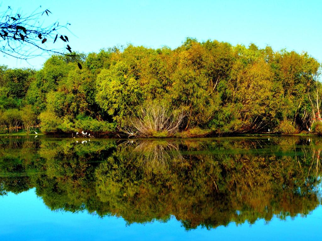 Reflection of fall forest in Mitchell Lake in Texas