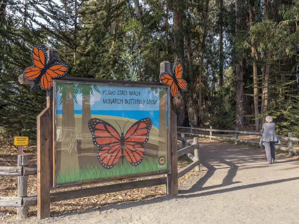 Entrance to Monarch Butterfly Grove, with large butterfly signs and pathway to view migrating monarch butterflies 