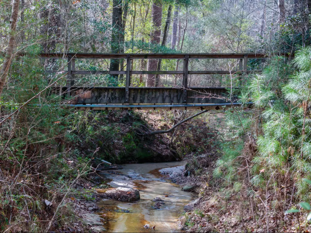 A bridge crossing over a stream in the Angelina National Forest, Texas.