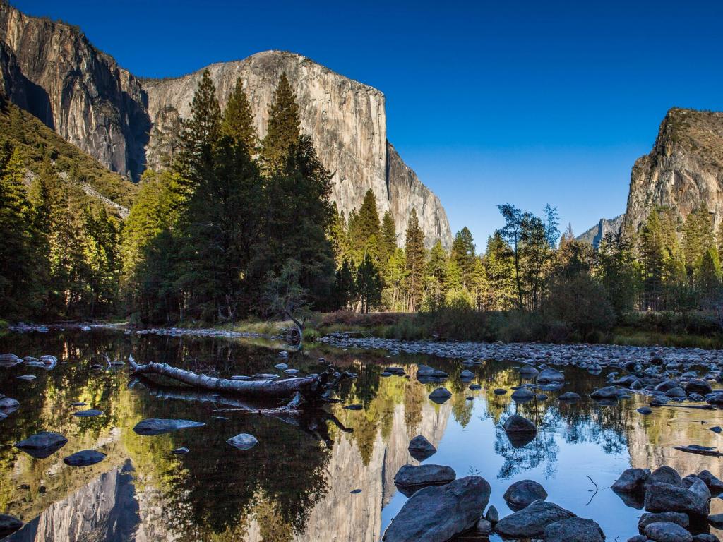 Yosemite National Park, California, USA with a lake in the foreground, trees and cliffs in the distance against a blue sky.