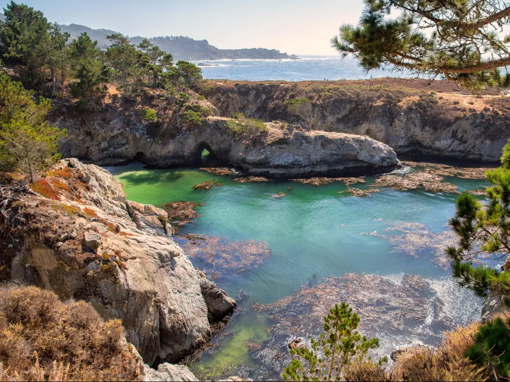 Point Lobos State Natural Preserve, California, USA with turquoise water surrounded by cliffs on a sunny day.