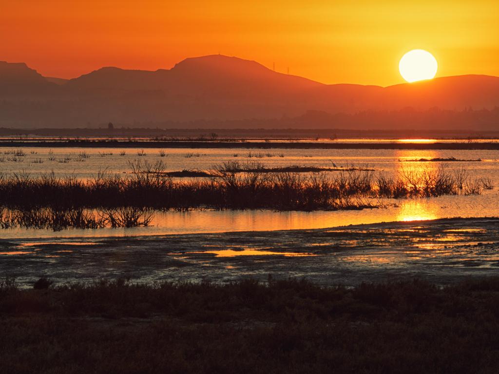 Sunrise creates orange glow across San Pablo Bay National Wildlife Refuge