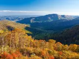 Autumn trees in  Shenandoah National Park on a bright day with blue skies.